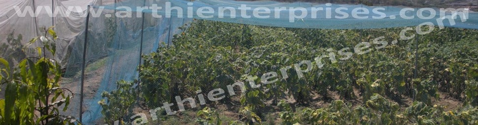 AGRICULTURAL BIRDS NET & INSECT NETS